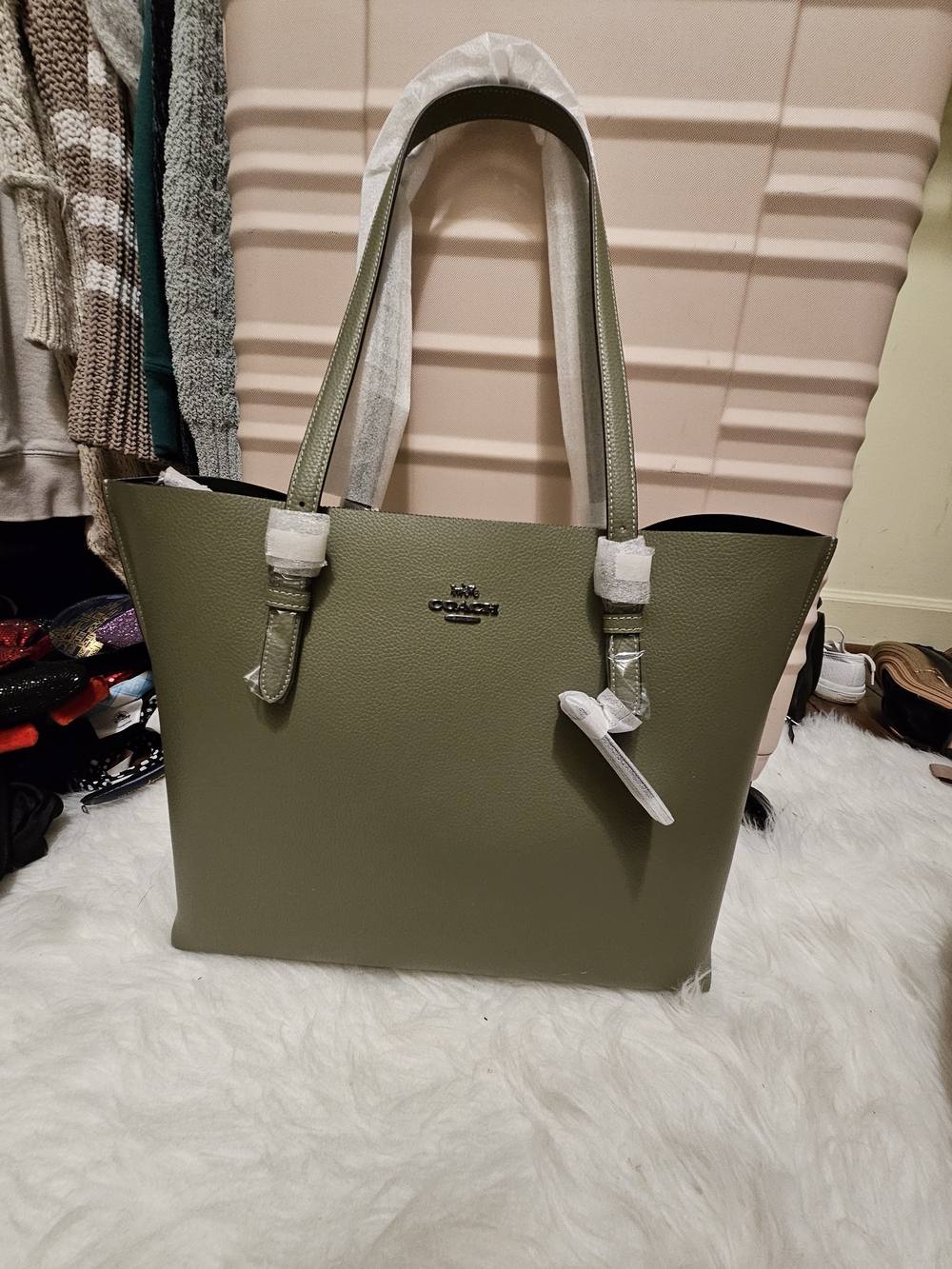 Coach Mollie Tote Bag